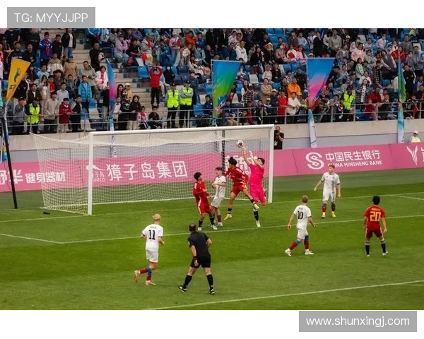 中国足球世界杯背景故事（中国足球世界杯背景故事是什么）sports