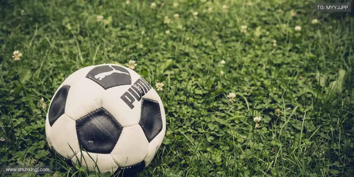 全球赛事同步直播,实时数据掌控赛场!📊 每一秒都不容错过!